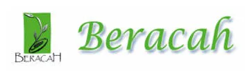 BERACAH HUMAN RESOURCES CONSULTANCY SERVICES logo